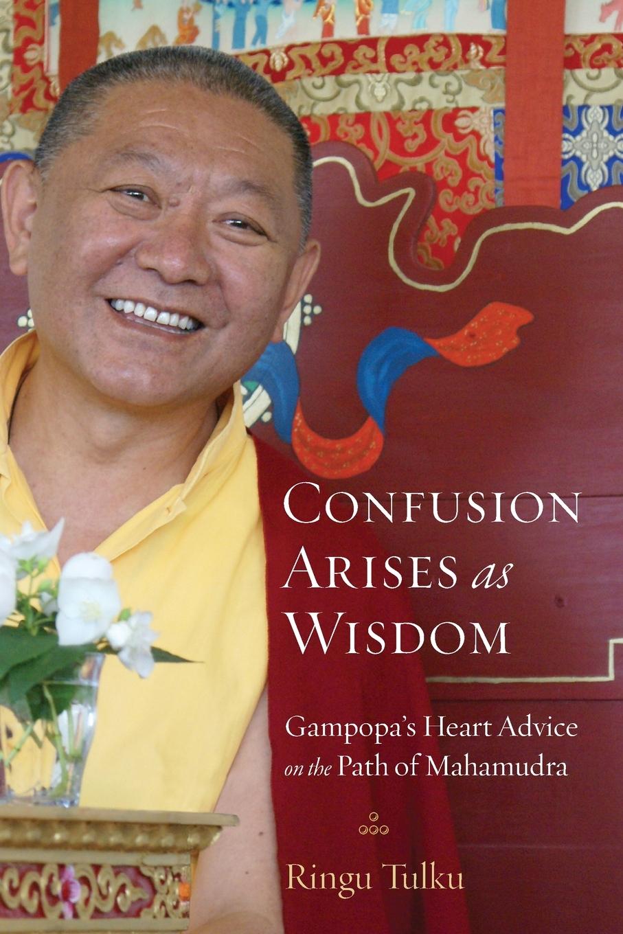 Cover: 9781590309957 | Confusion Arises as Wisdom | Ringu Tulku | Taschenbuch | Englisch