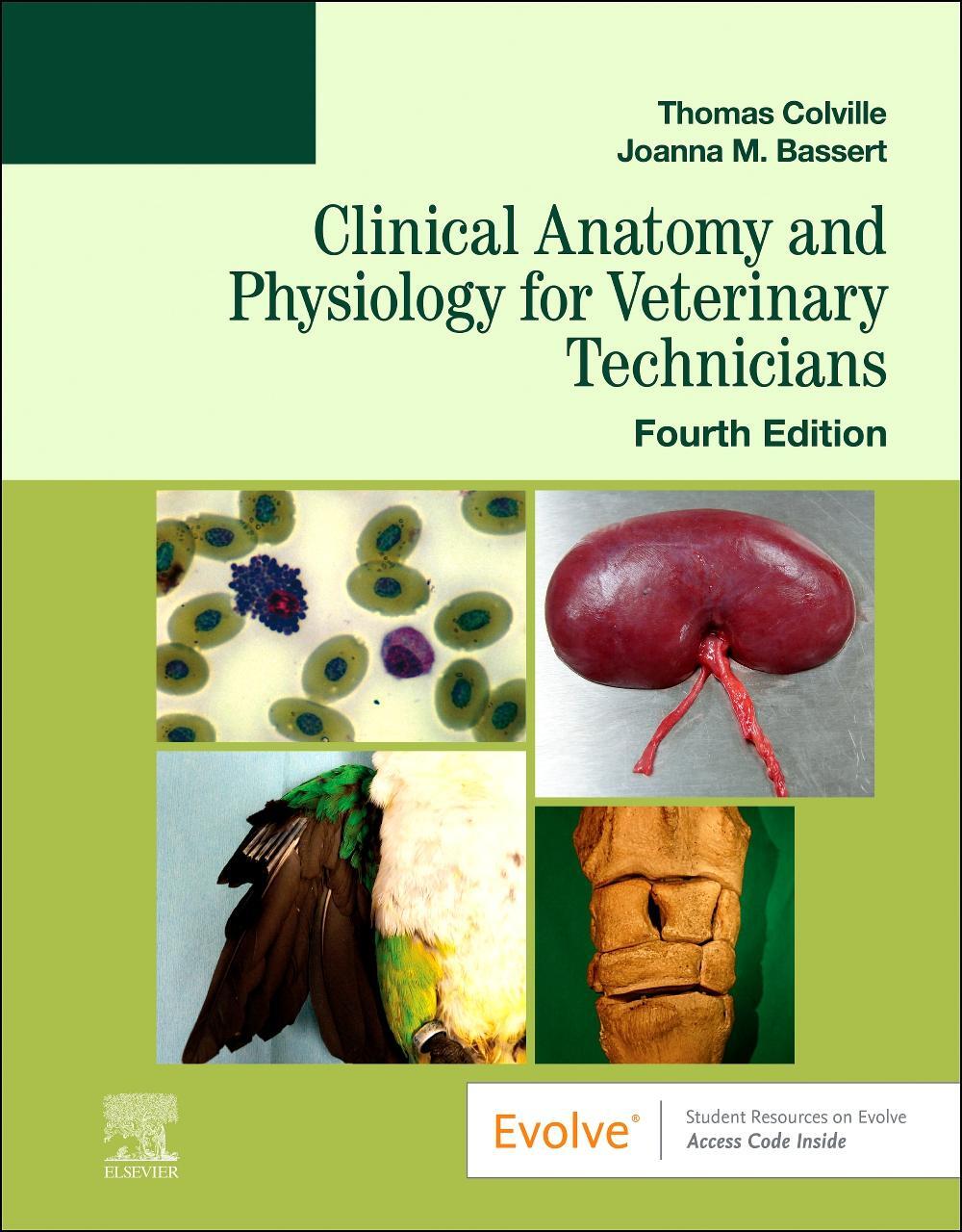 Cover: 9780323793414 | Clinical Anatomy and Physiology for Veterinary Technicians | Buch