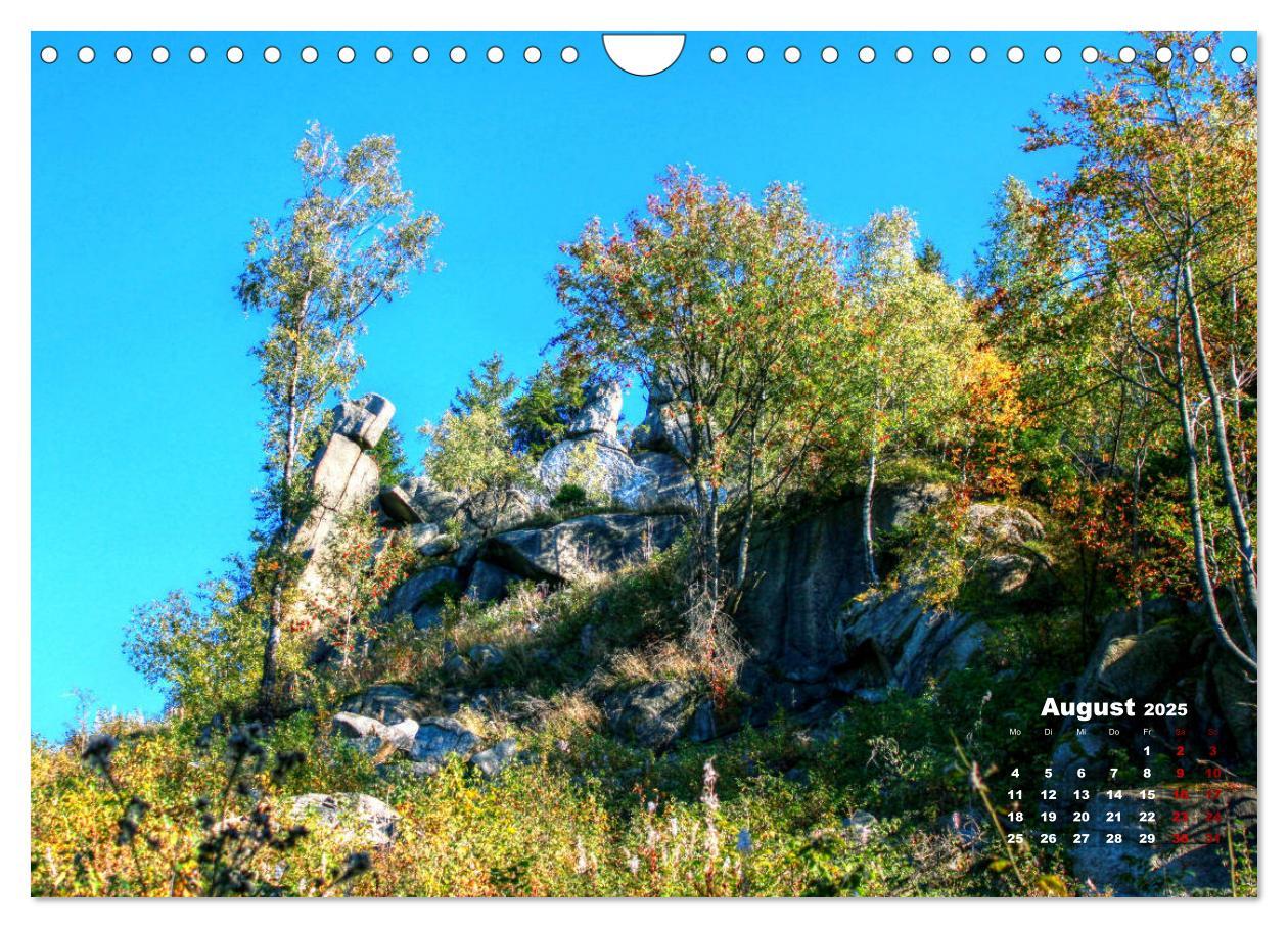 Bild: 9783435390656 | Bilder aus dem schönen Harz (Wandkalender 2025 DIN A4 quer),...