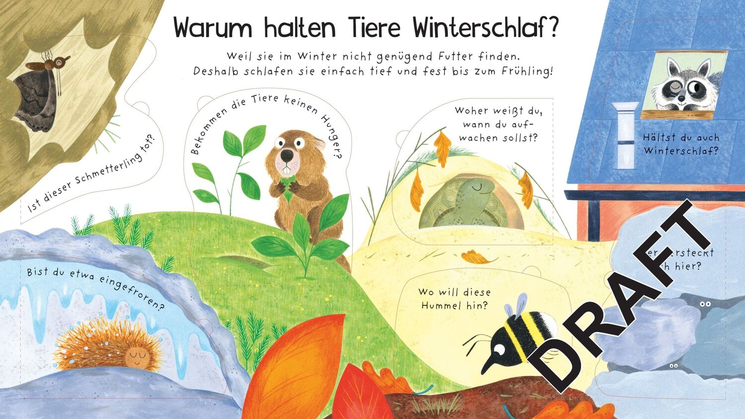 Bild: 9781035700356 | Erstes Aufklappen und Verstehen: Wo sind die Tiere im Winter? | Daynes