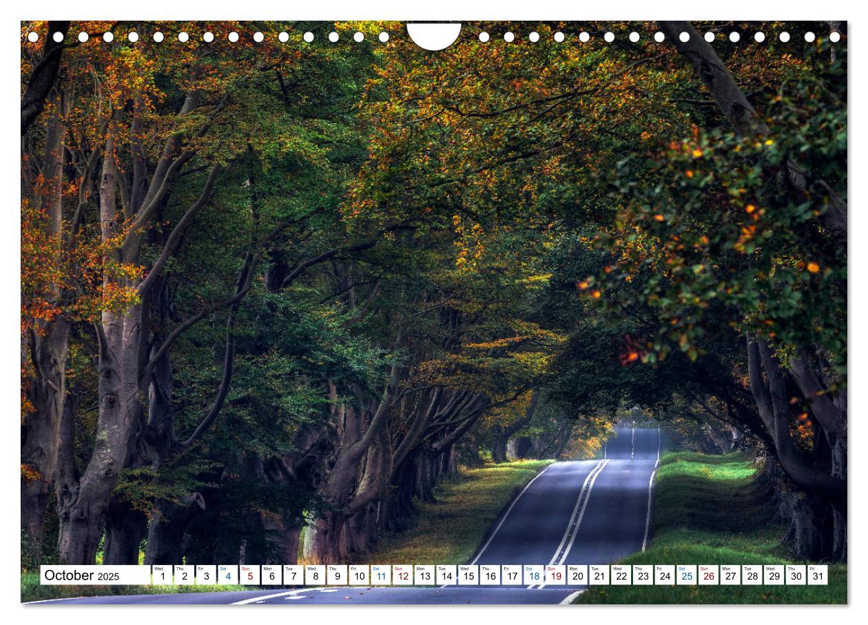 Bild: 9781325947249 | Dorset (Wall Calendar 2025 DIN A4 landscape), CALVENDO 12 Month...