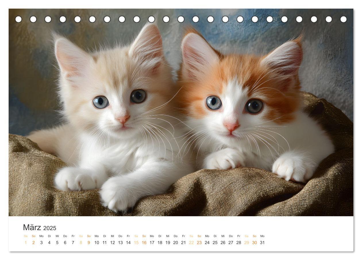 Bild: 9783457208038 | Zauberhafte Katzenbabys (Tischkalender 2025 DIN A5 quer), CALVENDO...