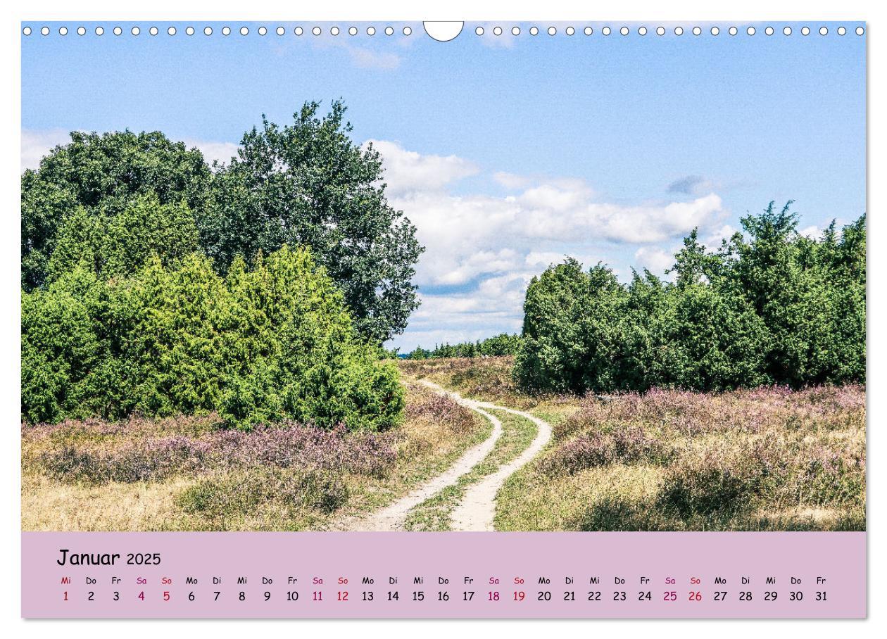 Bild: 9783435030224 | Lüneburger Heide Wege (Wandkalender 2025 DIN A3 quer), CALVENDO...