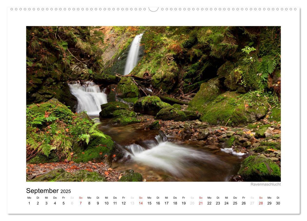 Bild: 9783435817375 | Schwarzwald 2025 (Wandkalender 2025 DIN A2 quer), CALVENDO...