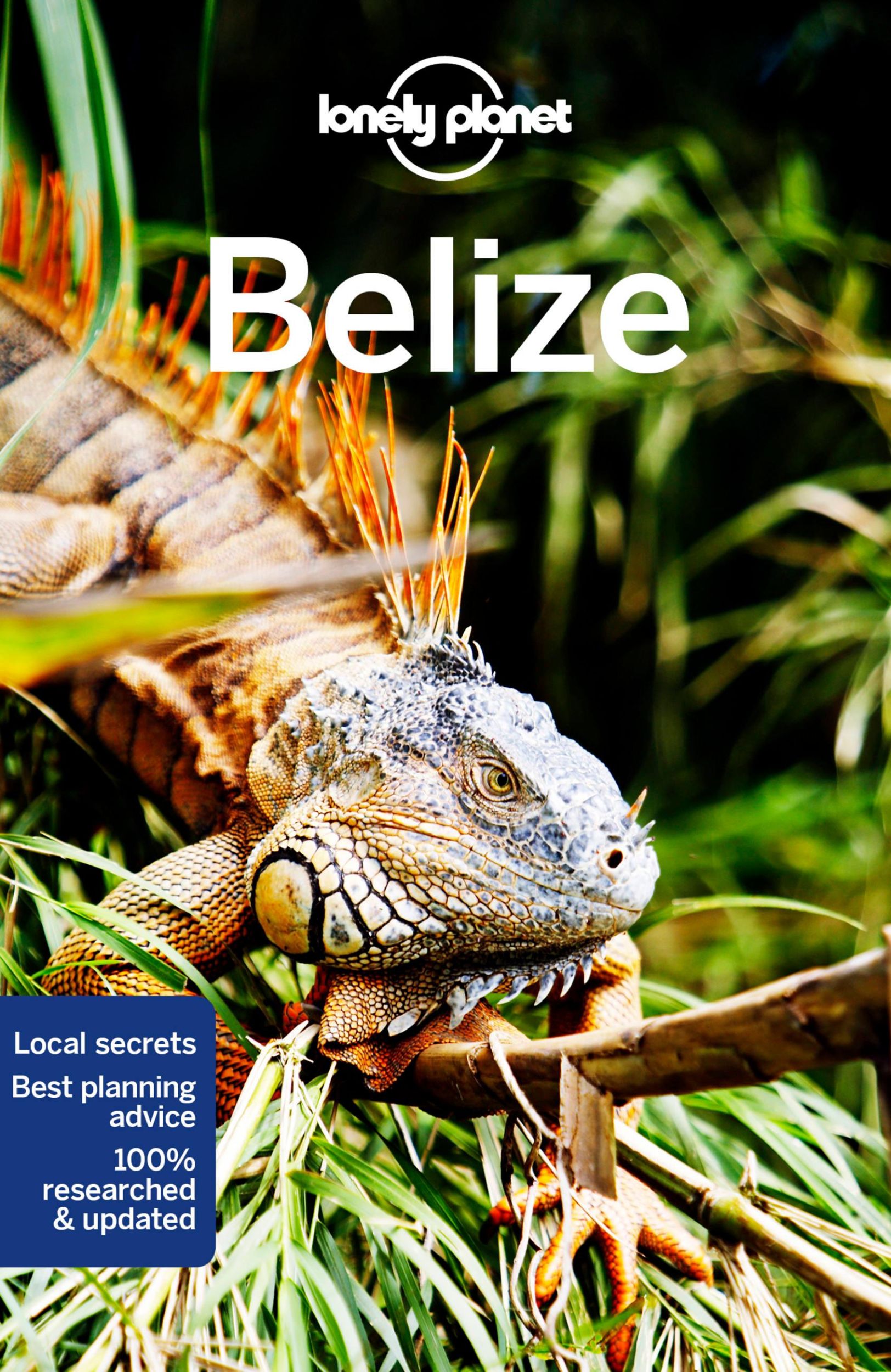 Cover: 9781788684330 | Belize | Paul Harding (u. a.) | Taschenbuch | Englisch | 2022