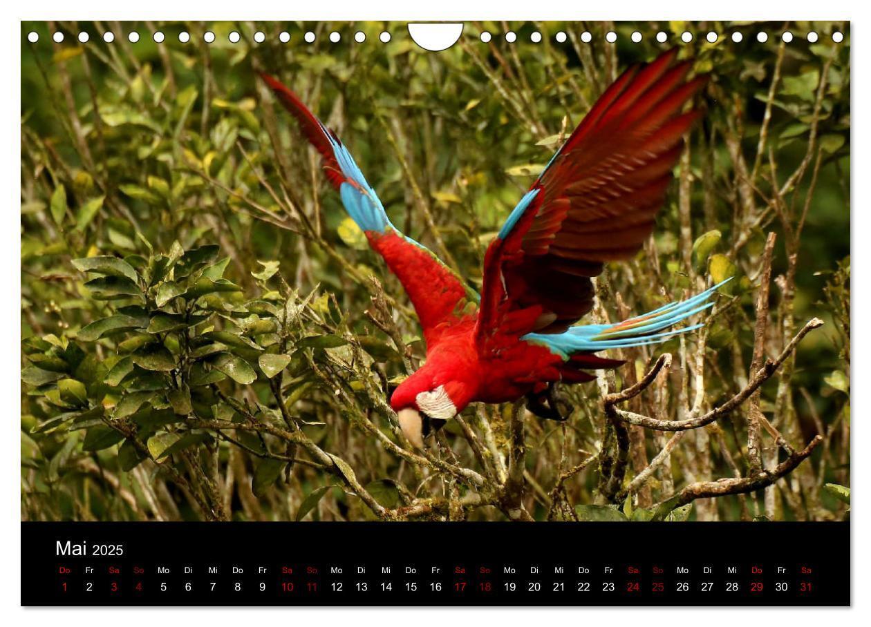 Bild: 9783435259854 | Ama la Vida Ecuador (Wandkalender 2025 DIN A4 quer), CALVENDO...