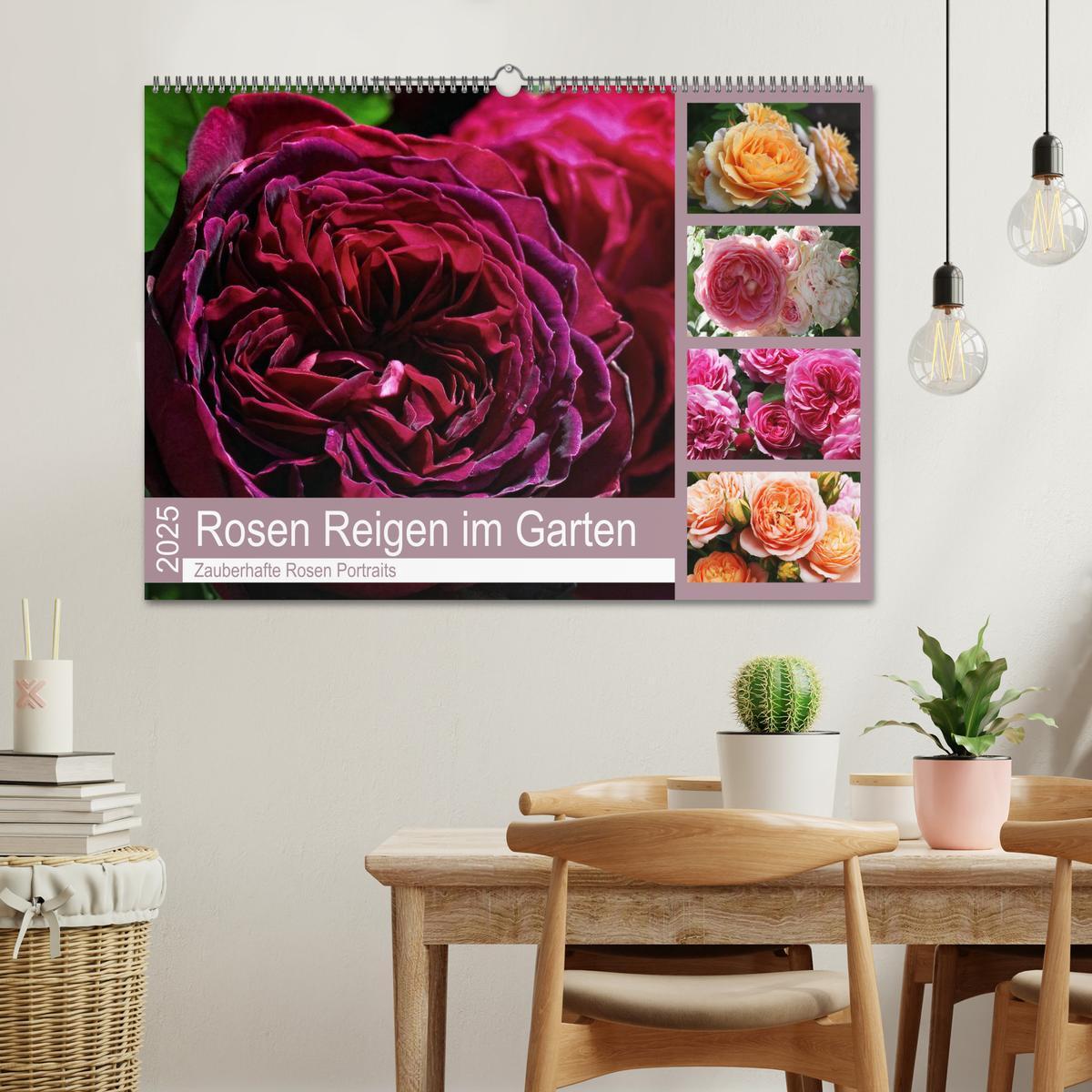 Bild: 9783435452743 | Rosen Reigen im Garten (Wandkalender 2025 DIN A2 quer), CALVENDO...