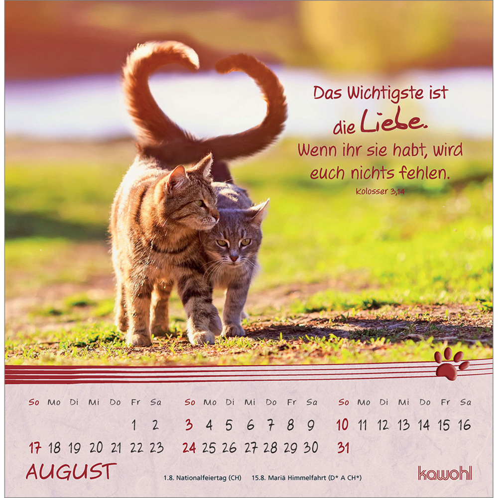 Bild: 9783754816950 | Kleine Katzen-Tatzen 2025 | Postkarten-Kalender | Kalender | 13 S.