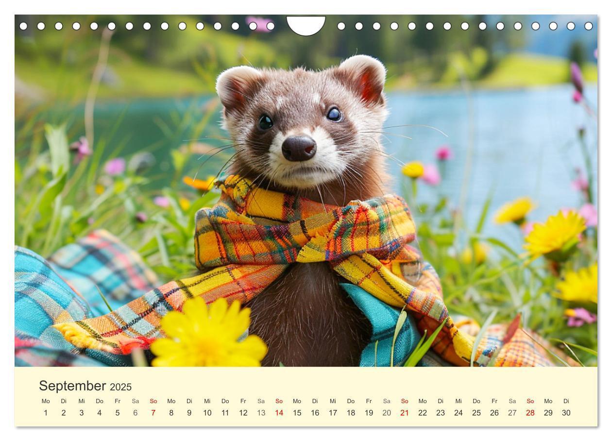 Bild: 9783435719921 | Kecke Marder. Charmante und niedliche Fashion-Ikonen (Wandkalender...