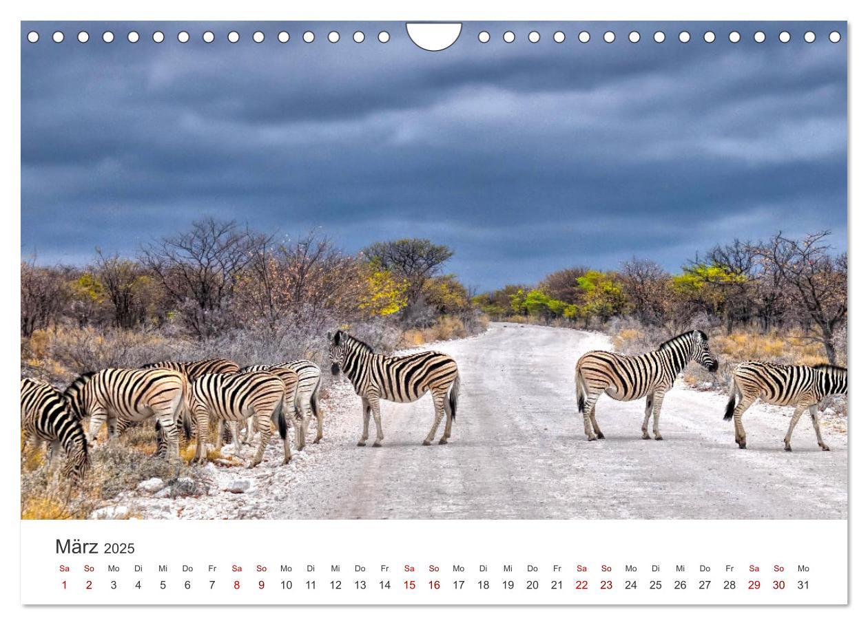 Bild: 9783383977220 | Namibia - Ein Paradies auf Erden. (Wandkalender 2025 DIN A4 quer),...