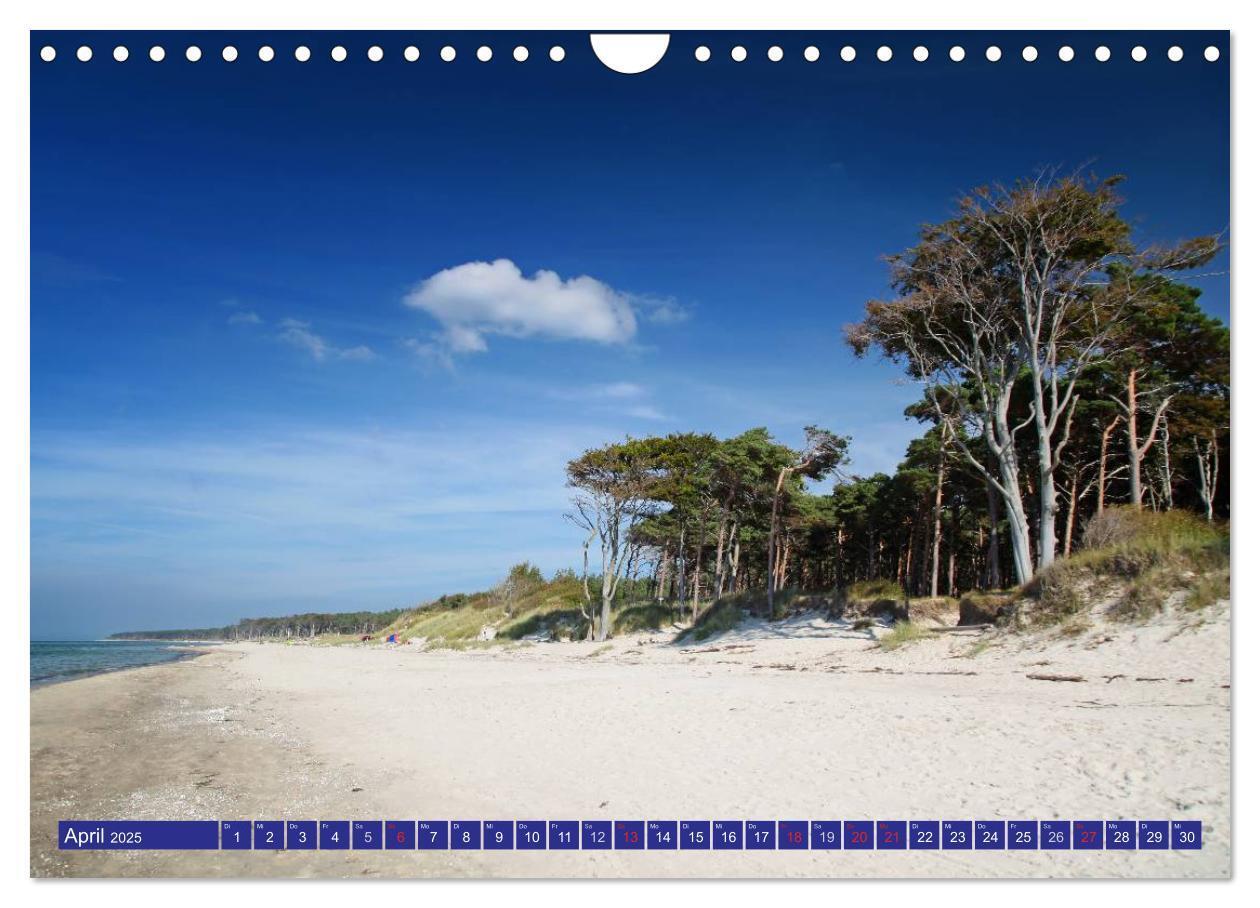 Bild: 9783435782390 | Weststrand Darß (Wandkalender 2025 DIN A4 quer), CALVENDO...