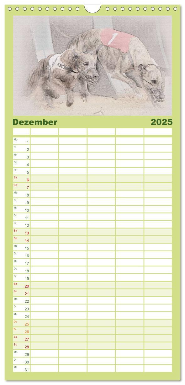 Bild: 9783457121146 | Familienplaner 2025 - Whippet 2025 mit 5 Spalten (Wandkalender, 21...