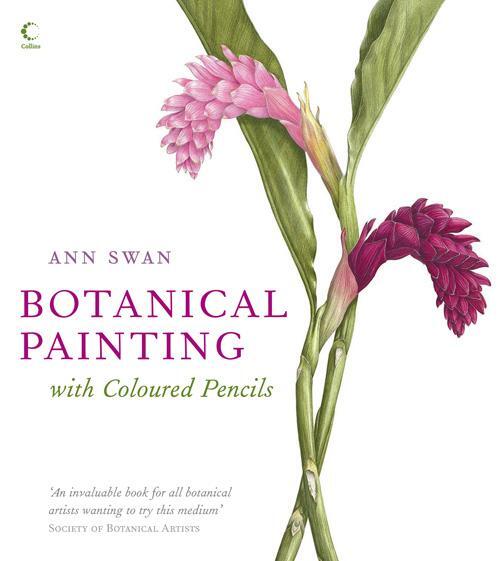 Cover: 9780007275526 | Botanical Painting with Coloured Pencils | Ann Swan | Buch | Englisch