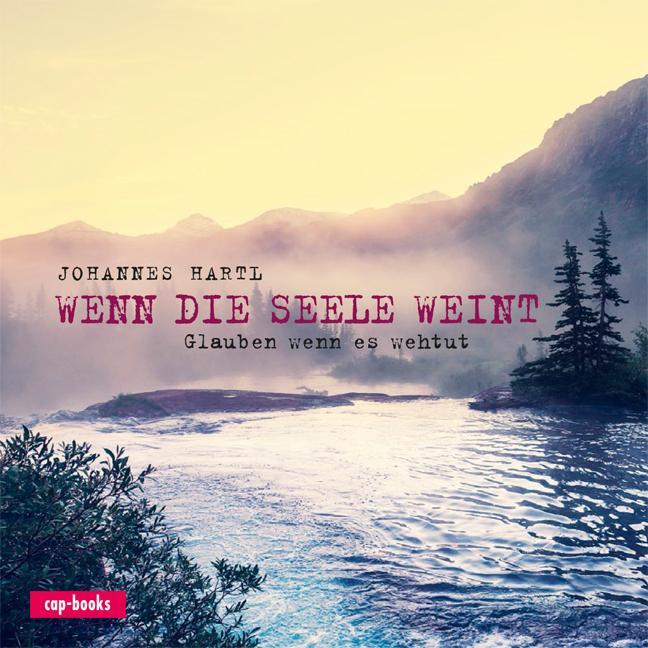 Cover: 9783867732154 | Wenn die Seele weint | Glauben wenn es weh tut | Johannes Hartl | Buch