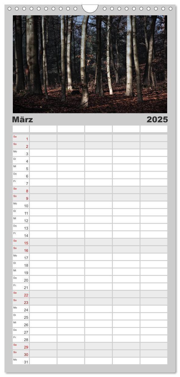 Bild: 9783457106006 | Familienplaner 2025 - Mystische Wälder mit 5 Spalten (Wandkalender,...