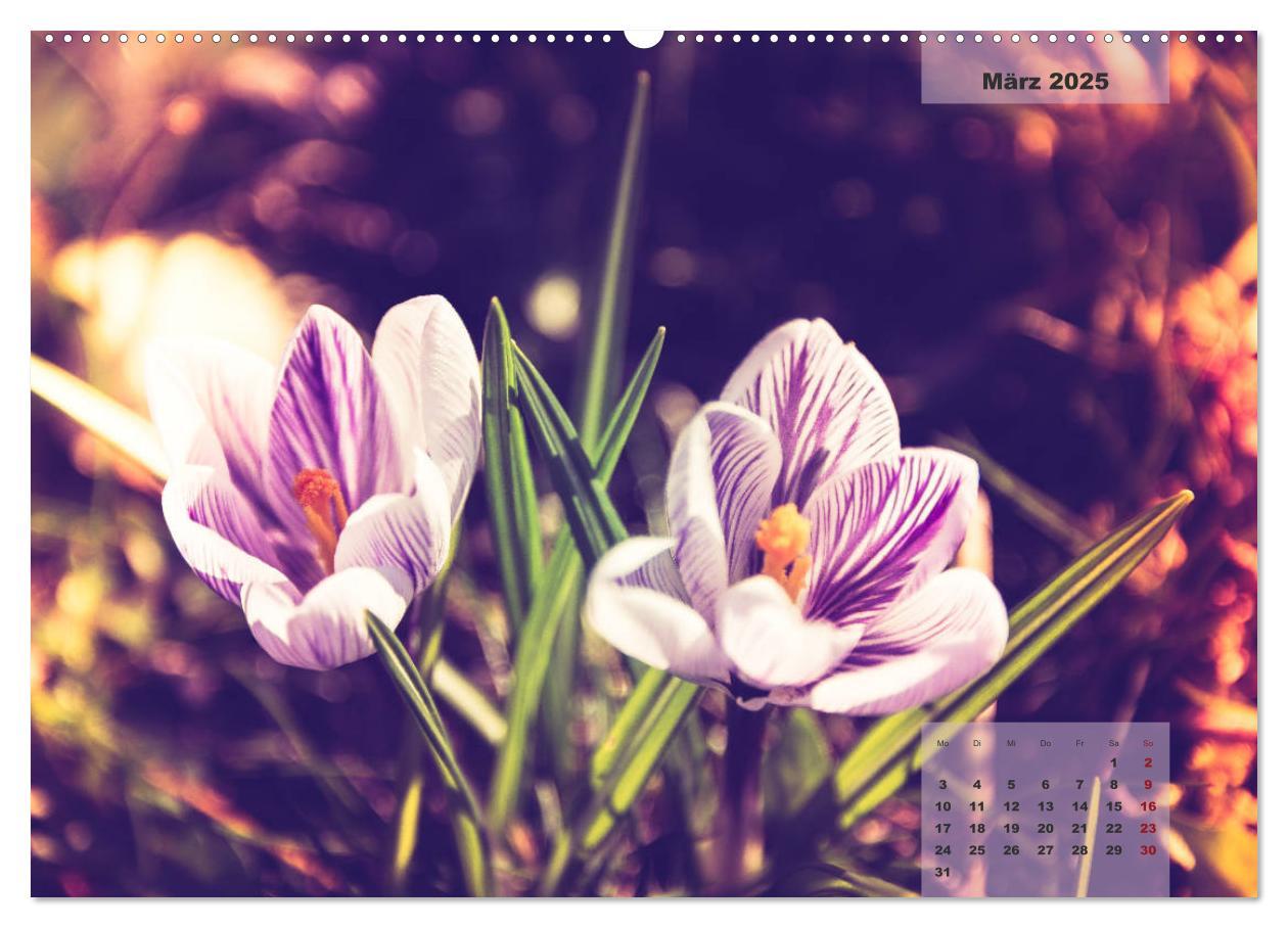 Bild: 9783435304523 | Blüten im Retro-Style (Wandkalender 2025 DIN A2 quer), CALVENDO...