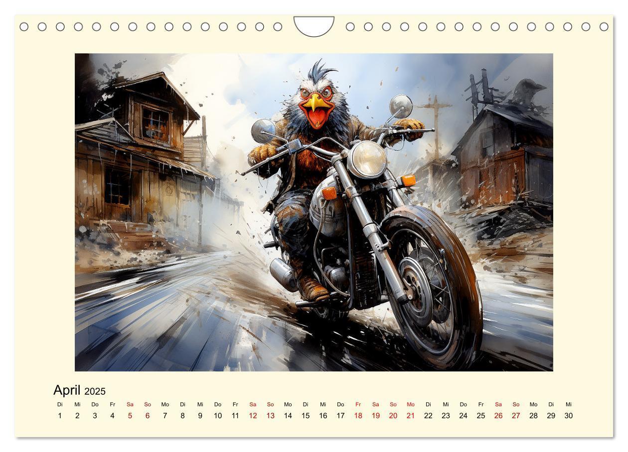 Bild: 9783383847349 | Verrückte Hühner (Wandkalender 2025 DIN A4 quer), CALVENDO...