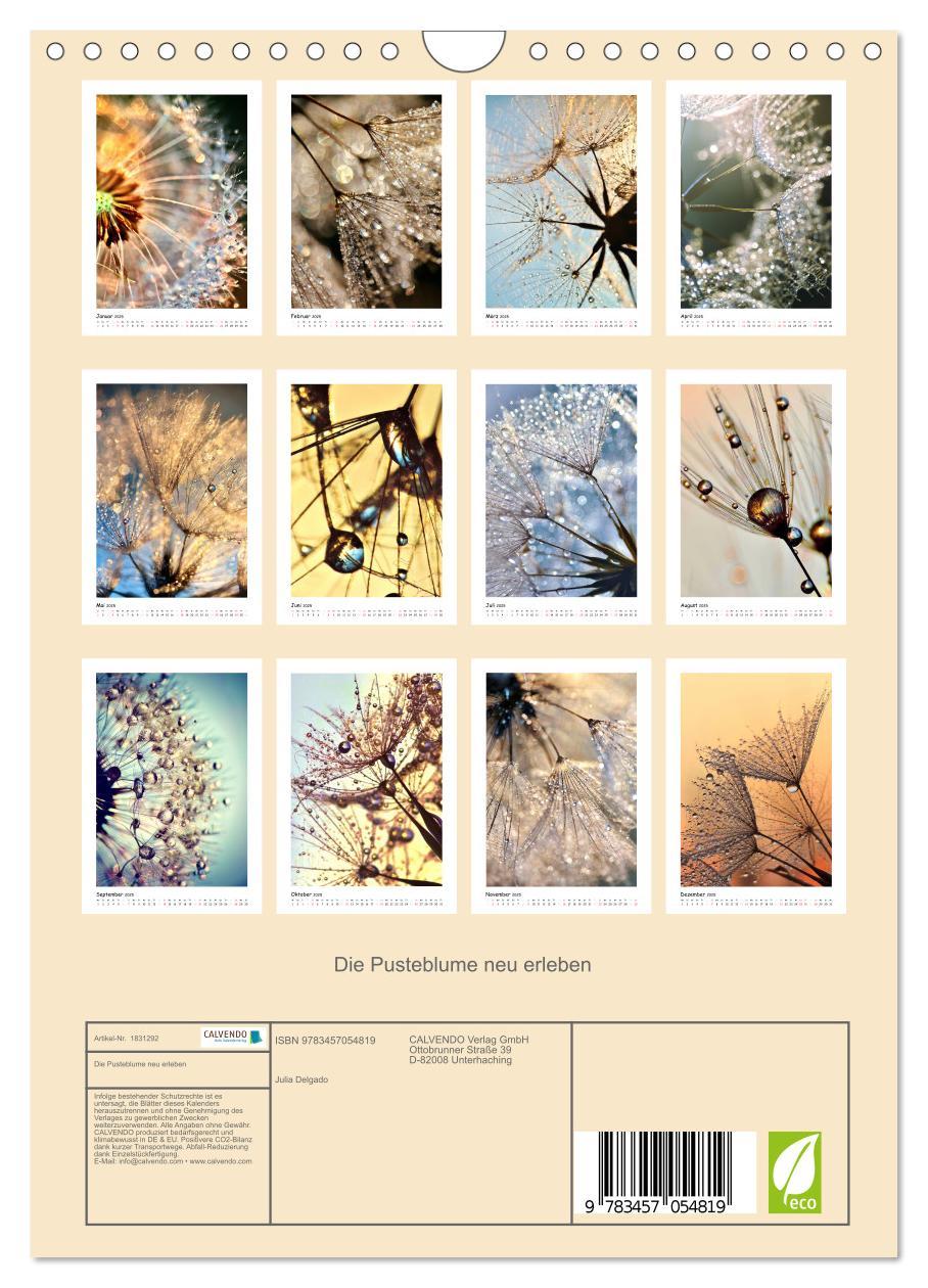 Bild: 9783457054819 | Die Pusteblume neu erleben (Wandkalender 2025 DIN A4 hoch),...