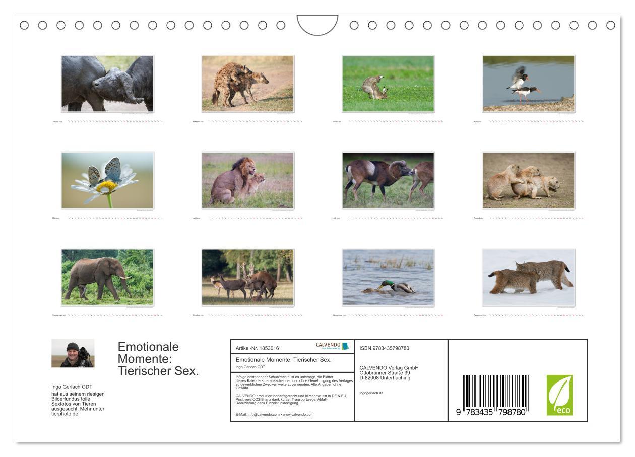 Bild: 9783435798780 | Emotionale Momente: Tierischer Sex. (Wandkalender 2025 DIN A4...