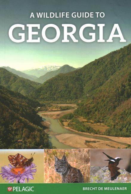 Cover: 9781784273019 | A Wildlife Guide to Georgia | Brecht de Meulenaer | Taschenbuch | 2024