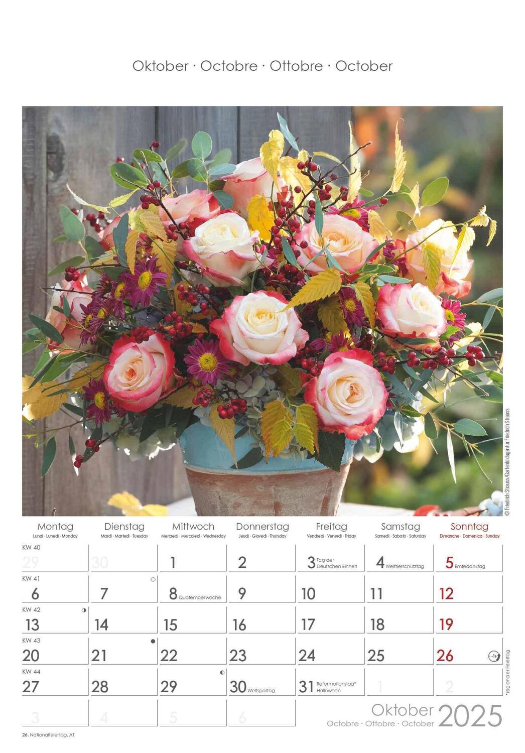 Bild: 4251732340995 | Rosenträume 2025 - Bildkalender 23,7x34 cm - Kalender mit Platz für...