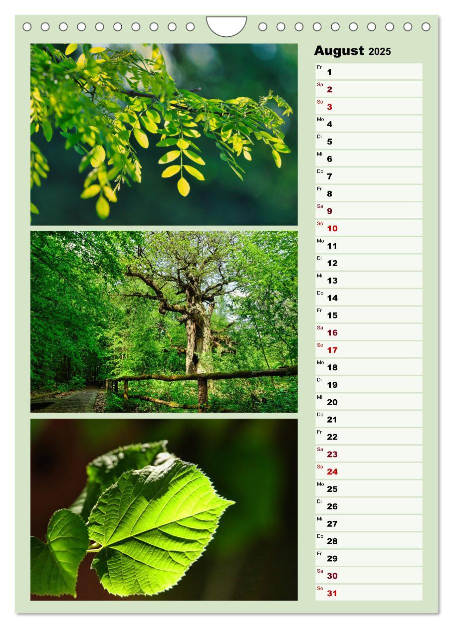 Bild: 9783457146224 | Harmonie der Farben in Landschaft und Natur (Wandkalender 2025 DIN...