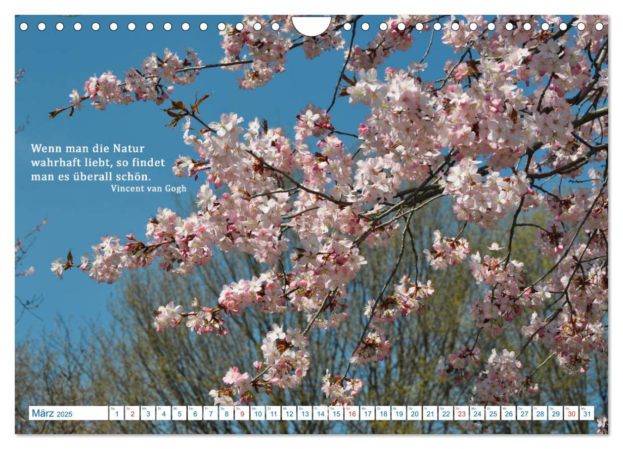 Bild: 9783435122271 | Kraftquelle Natur (Wandkalender 2025 DIN A4 quer), CALVENDO...