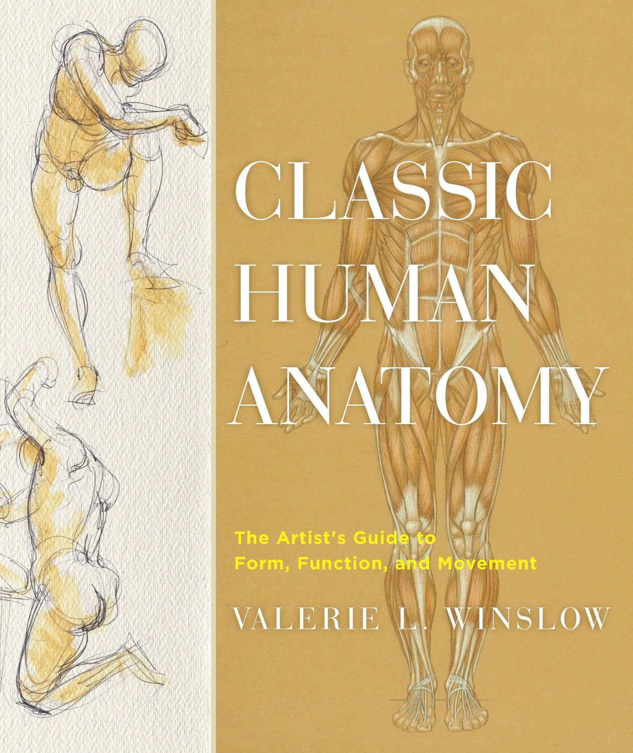 Cover: 9780823024155 | Classic Human Anatomy | V. Winslow | Buch | Einband - fest (Hardcover)