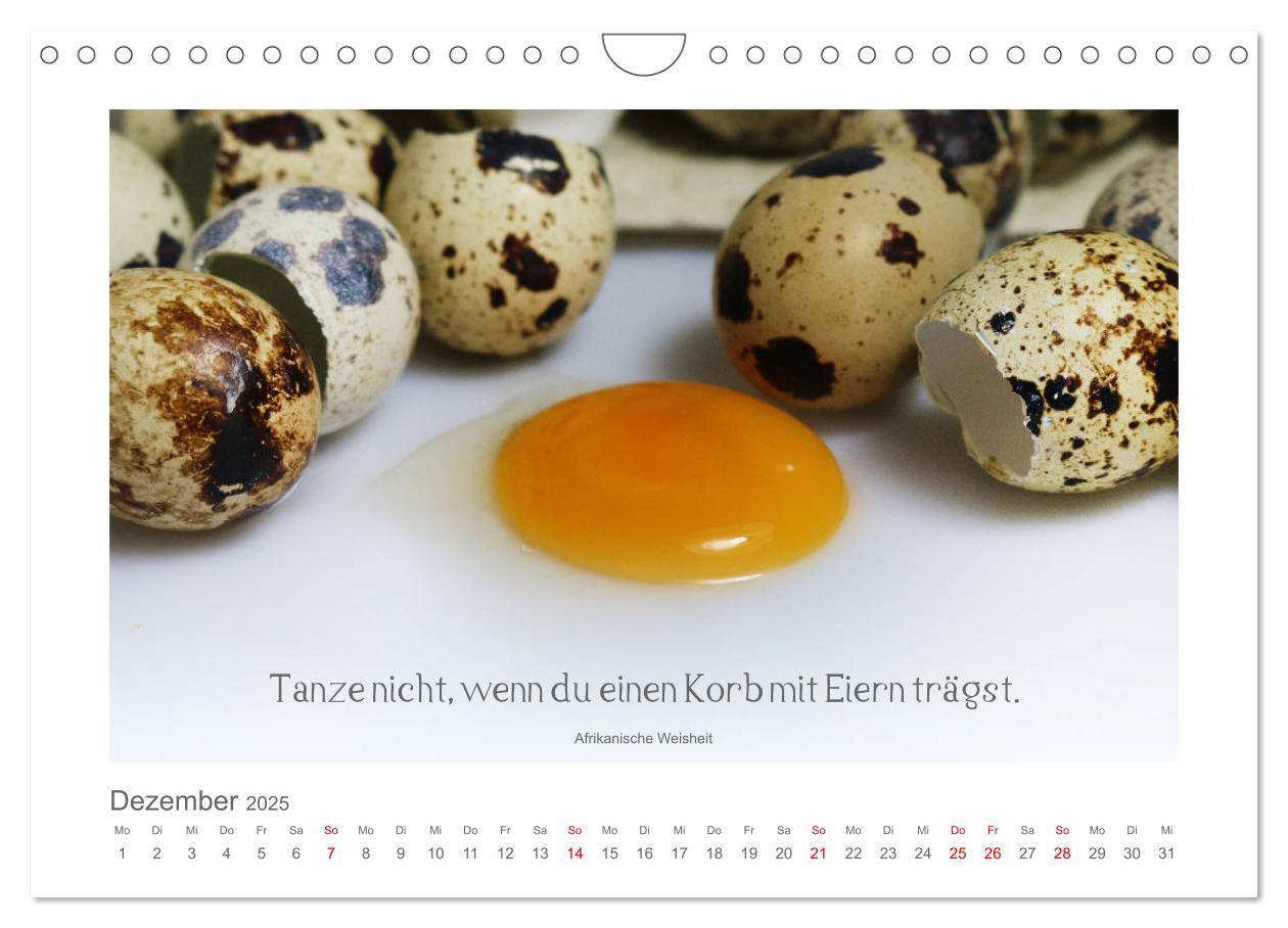 Bild: 9783435290369 | FunnyFood (Wandkalender 2025 DIN A4 quer), CALVENDO Monatskalender