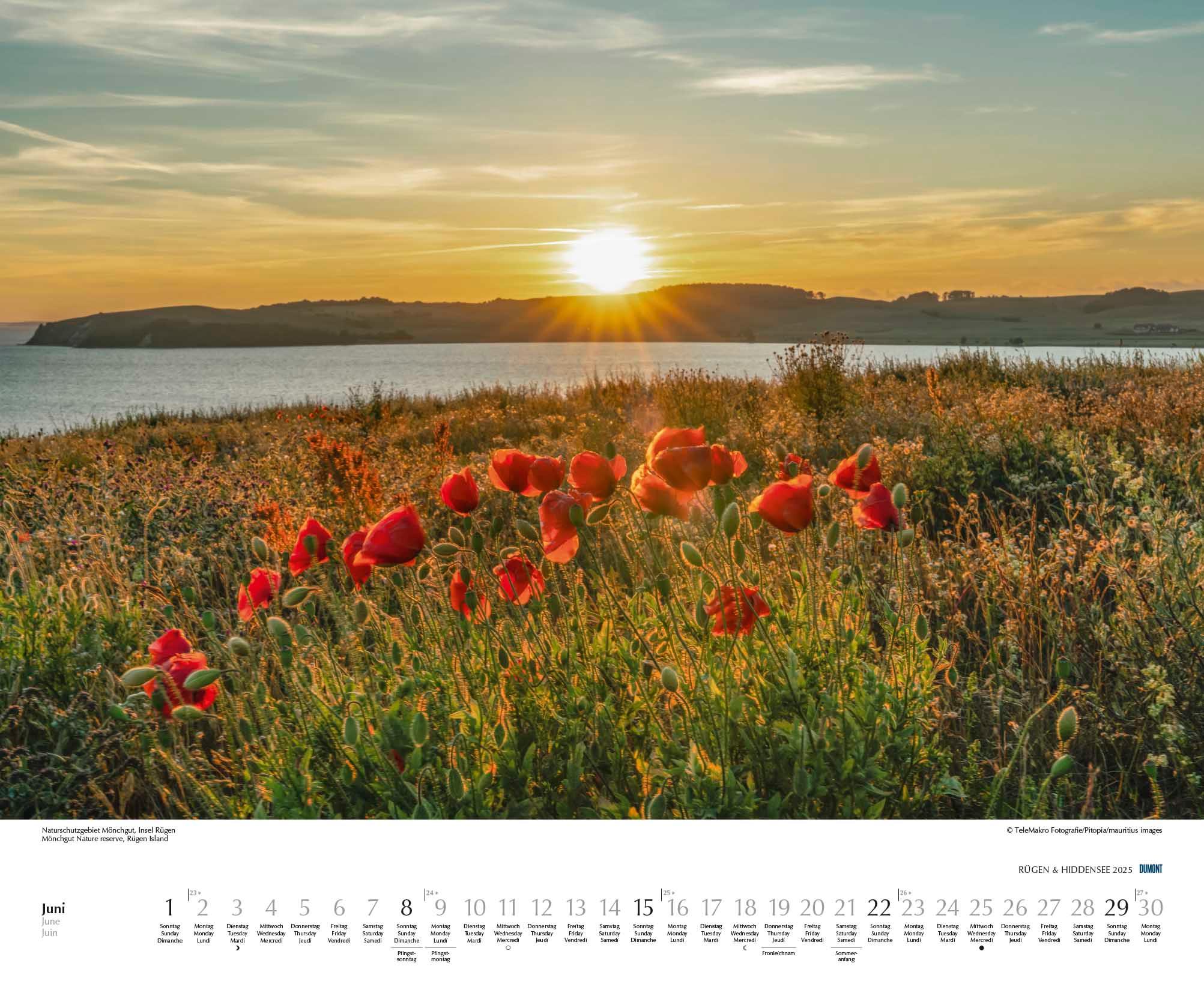 Bild: 4250809652726 | Rügen &amp; Hiddensee 2025 - Wandkalender 52 x 42,5 cm - Spiralbindung