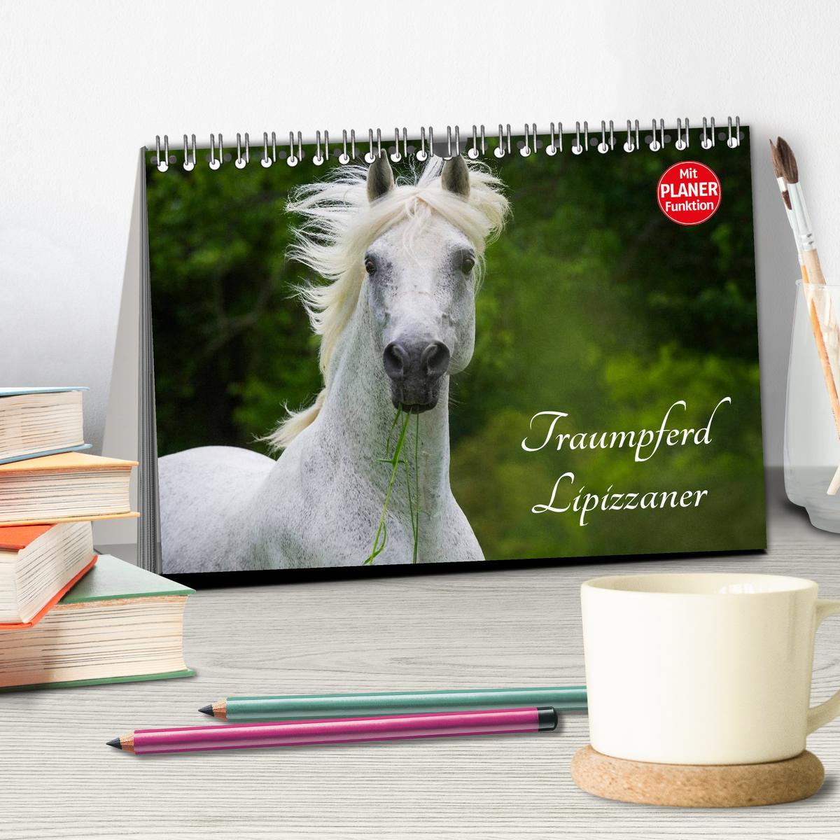 Bild: 9783435543991 | Traumpferd Lipizzaner (Tischkalender 2025 DIN A5 quer), CALVENDO...