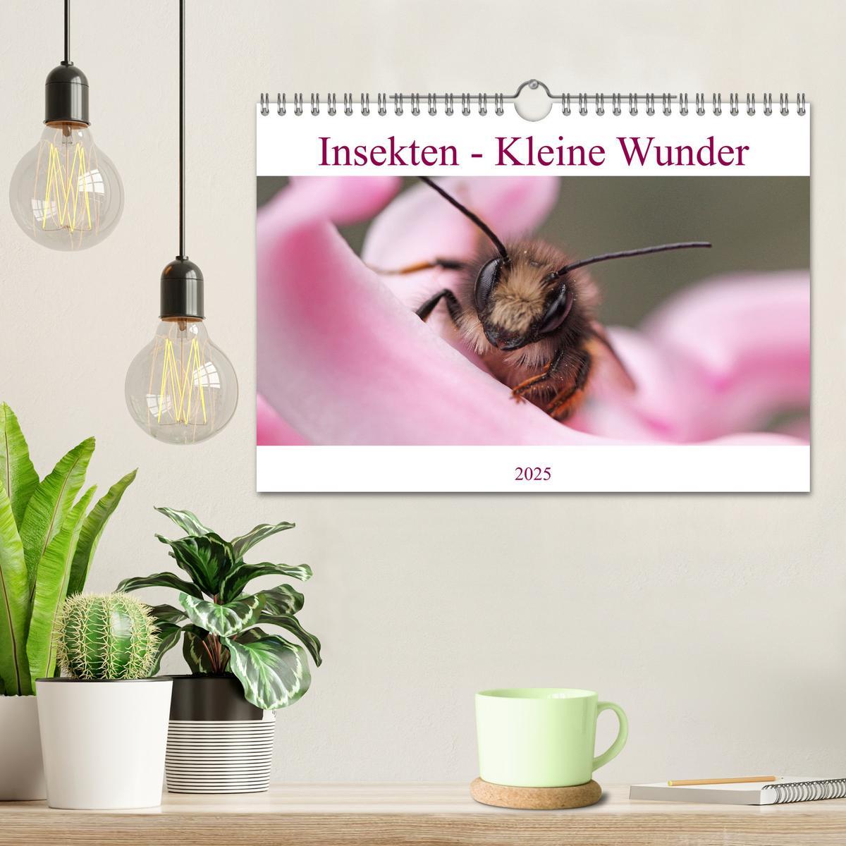 Bild: 9783435089192 | Insekten - Kleine Wunder (Wandkalender 2025 DIN A4 quer), CALVENDO...