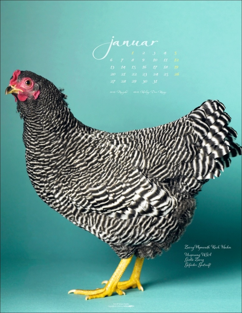 Bild: 9783839901045 | Pretty Chicks Kalender 2025 | Tamara Staples | Kalender | 14 S. | 2025