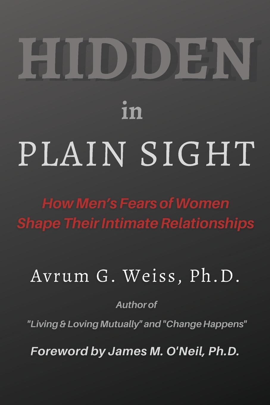 Cover: 9781643810447 | Hidden in Plain Sight | Avrum G Weiss | Taschenbuch | Paperback | 2021