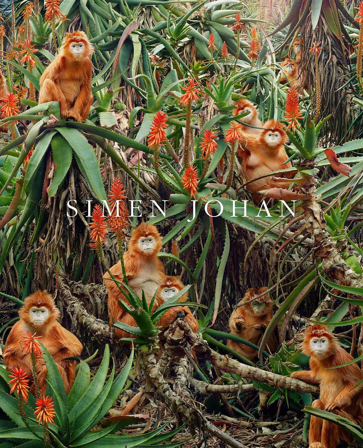 Cover: 9781648230288 | Simen Johan | Simen Johan | Buch | Englisch | 2023 | EAN 9781648230288