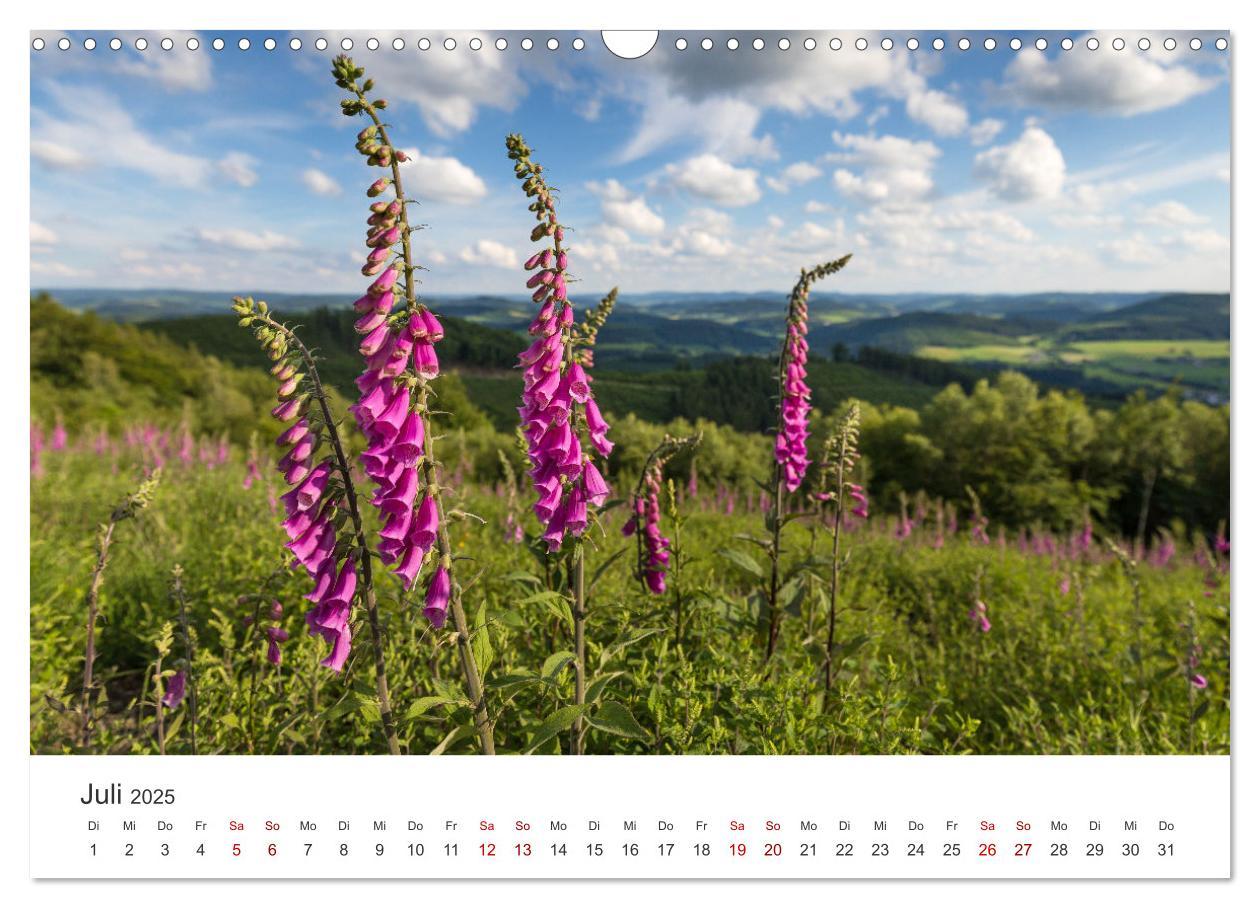 Bild: 9783435018826 | Das Sauerland im Wechsel der Jahreszeiten (Wandkalender 2025 DIN A3...