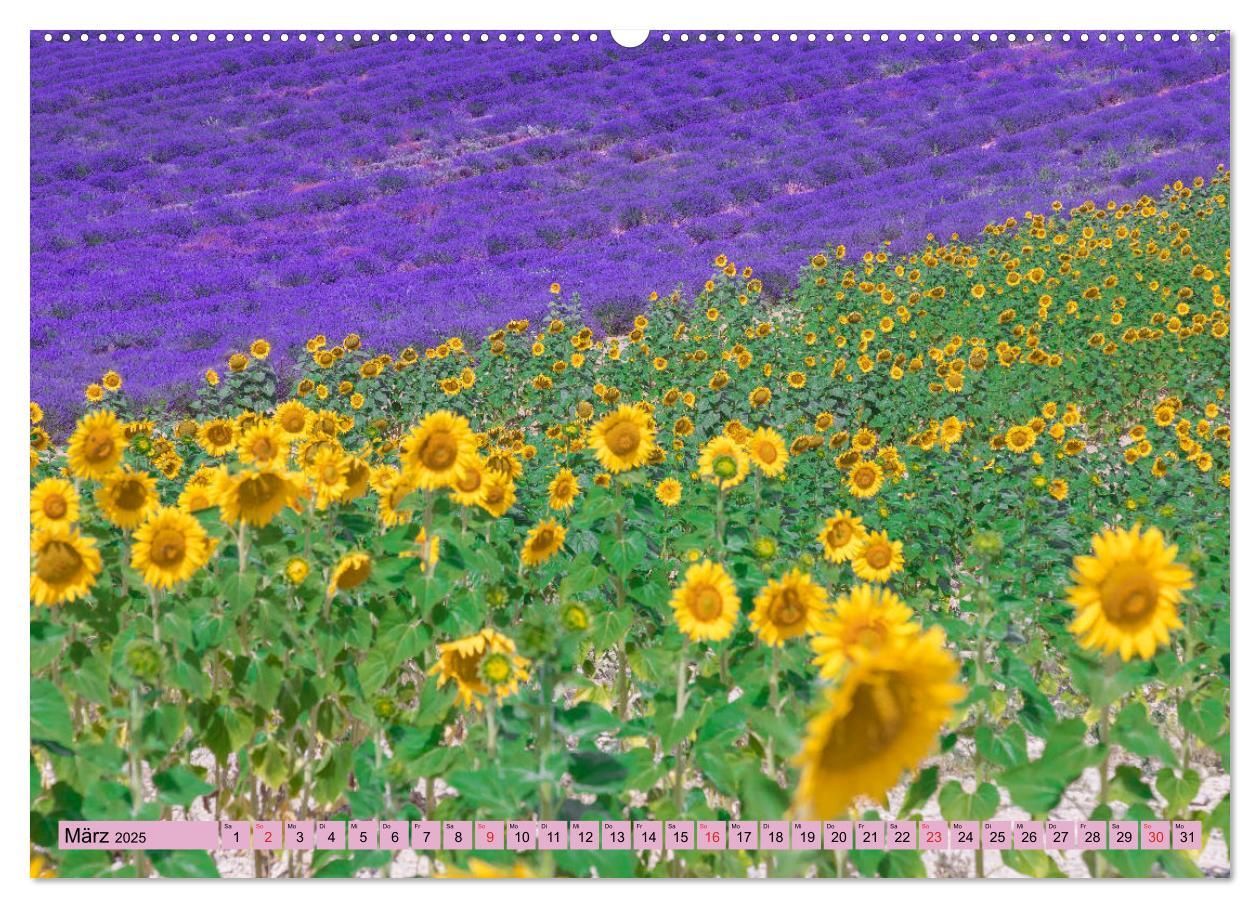 Bild: 9783435304028 | Provence, Lavendelzeit in Südfrankreich (Wandkalender 2025 DIN A2...