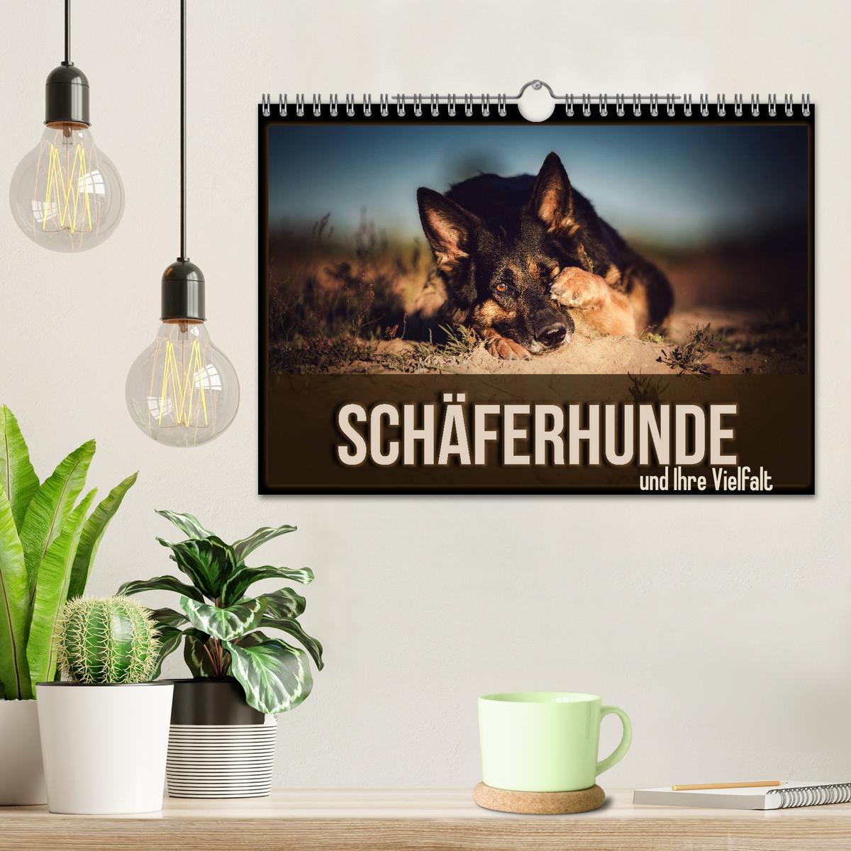 Bild: 9783435351459 | Schäferhunde und Ihre Vielfalt (Wandkalender 2025 DIN A4 quer),...