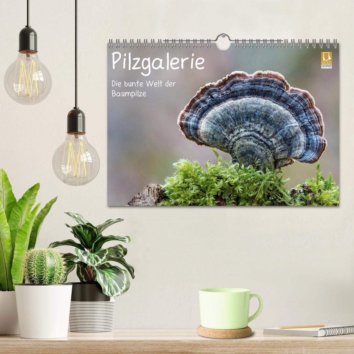 Bild: 9783435332007 | Pilzgalerie - Die bunte Welt der Baumpilze (Wandkalender 2025 DIN...