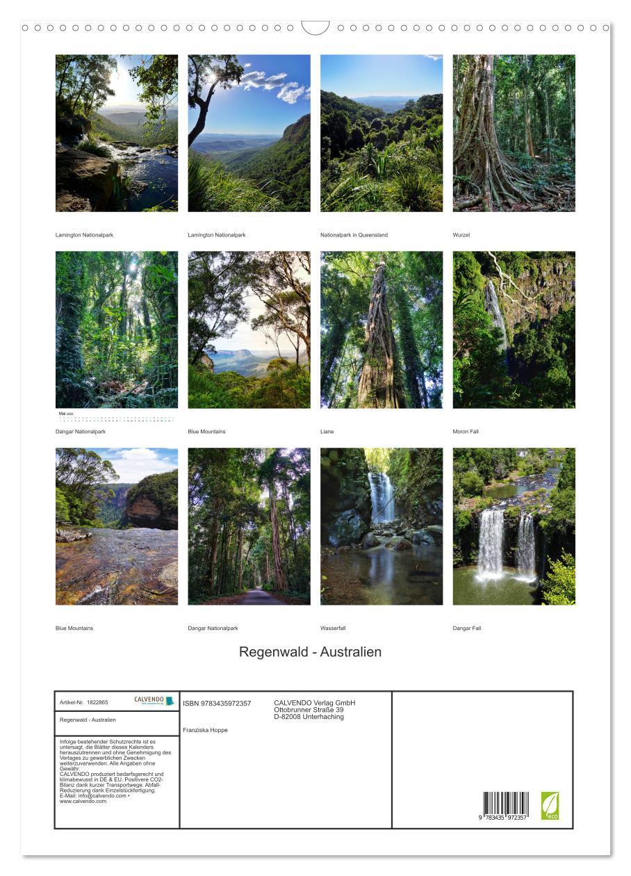 Bild: 9783435972357 | Regenwald - Australien (Wandkalender 2025 DIN A2 hoch), CALVENDO...