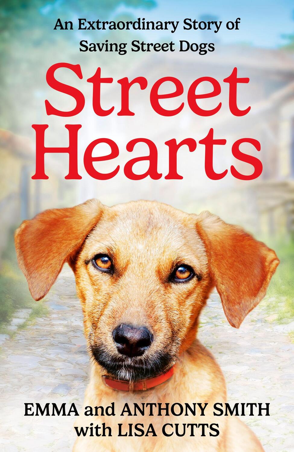 Cover: 9780008701949 | Street Hearts | An Extraordinary Story of Saving Street Dogs | Buch