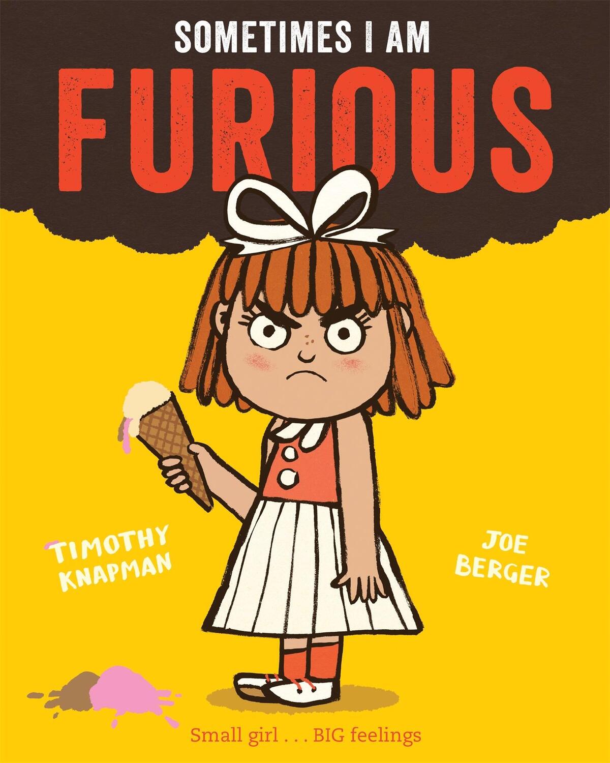 Cover: 9781509848584 | Sometimes I Am Furious | Timothy Knapman | Taschenbuch | Englisch