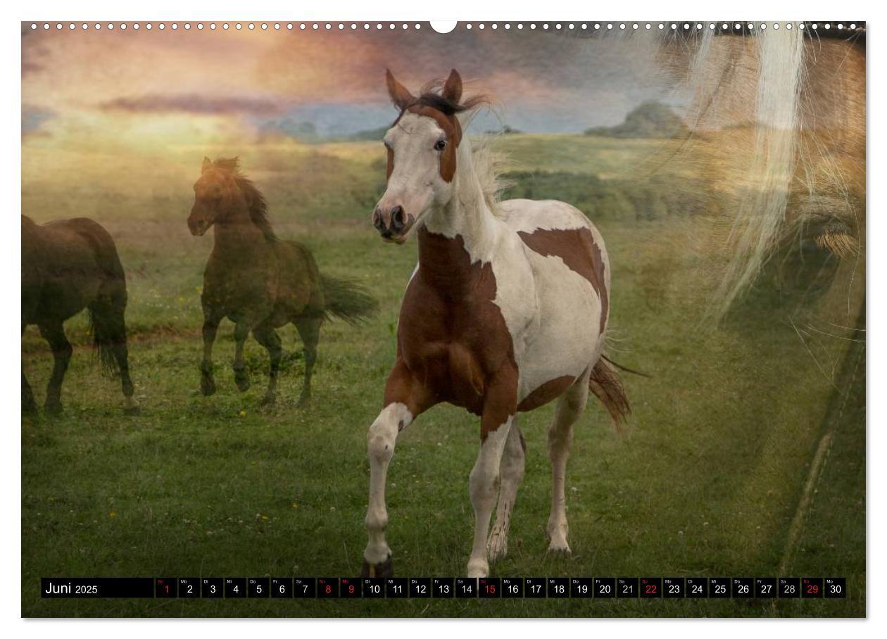 Bild: 9783435489589 | Western-Feeling (Wandkalender 2025 DIN A2 quer), CALVENDO...