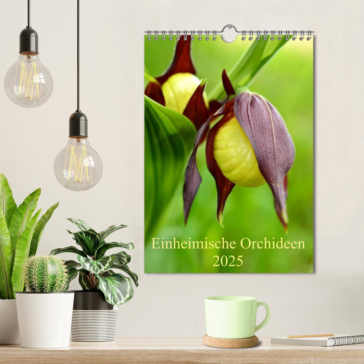 Bild: 9783457086605 | Einheimische Orchideen (Wandkalender 2025 DIN A4 hoch), CALVENDO...