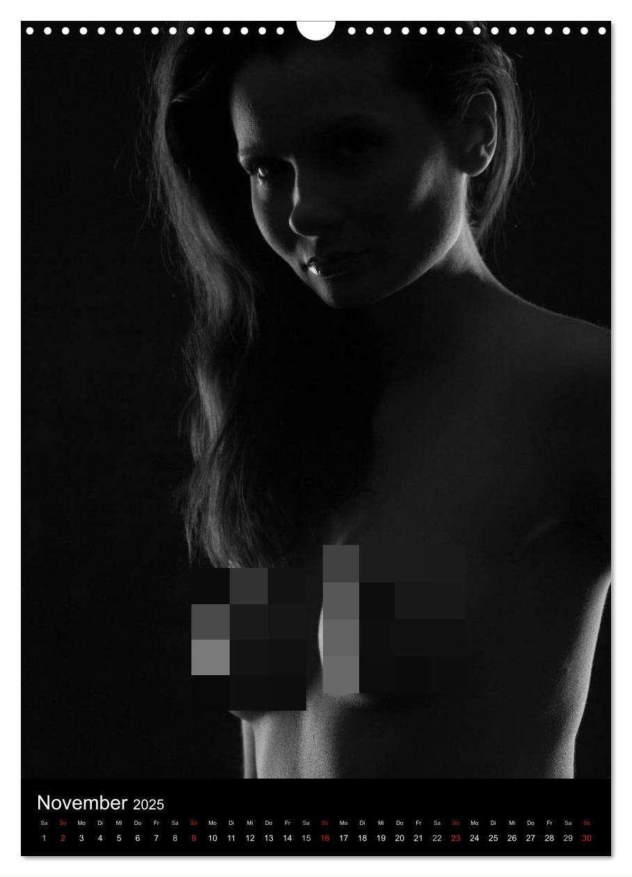 Bild: 9783457080955 | Erotische Silhouetten / CH-Version (Wandkalender 2025 DIN A3 hoch),...