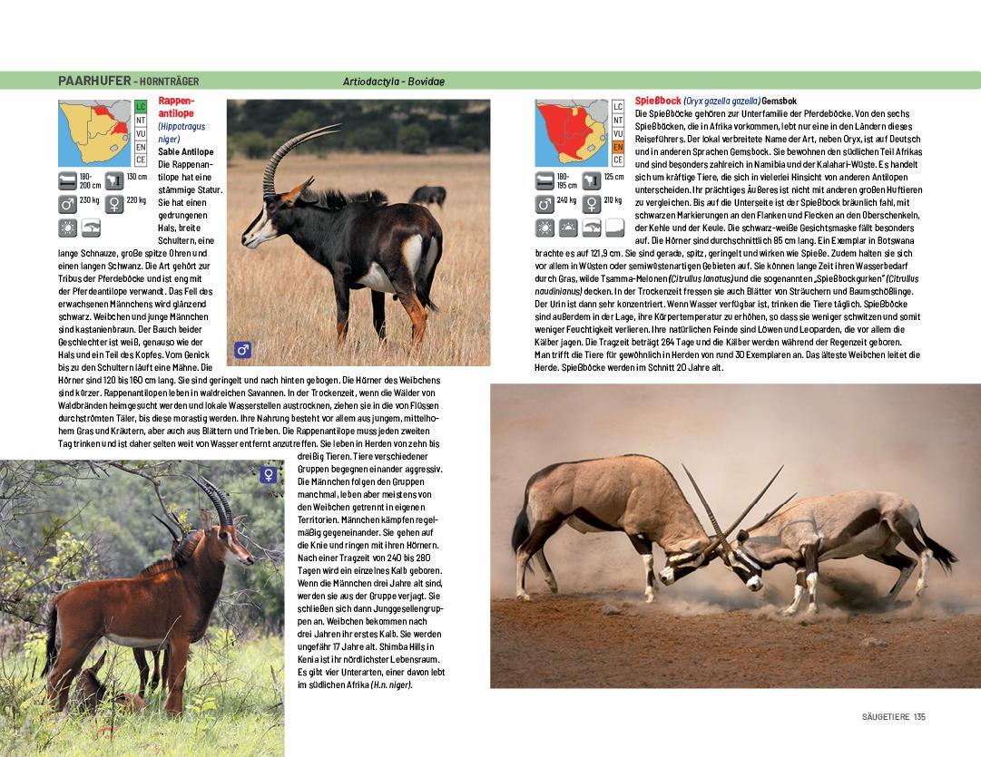 Bild: 9789082208405 | Safari-Reiseführer Südliches Afrika | Ruud Troost | Taschenbuch | 2023