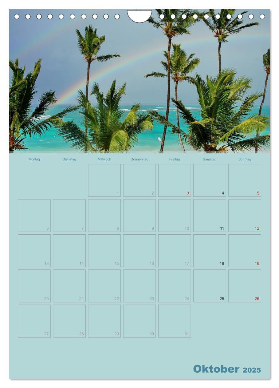 Bild: 9783457049600 | Karibik - Sonne, Strand und Palmen (Wandkalender 2025 DIN A4 hoch),...