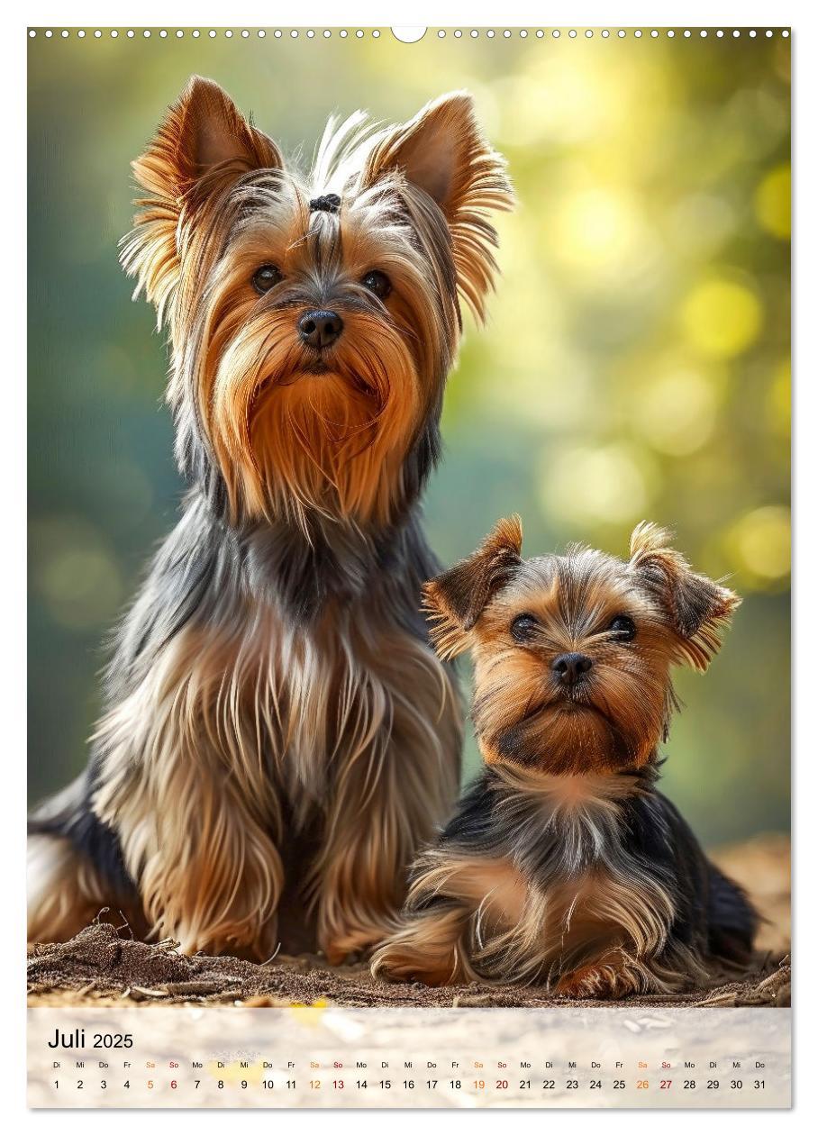 Bild: 9783383771736 | Yorkshire Terrier - ein Hund mit starkem Charakter (Wandkalender...