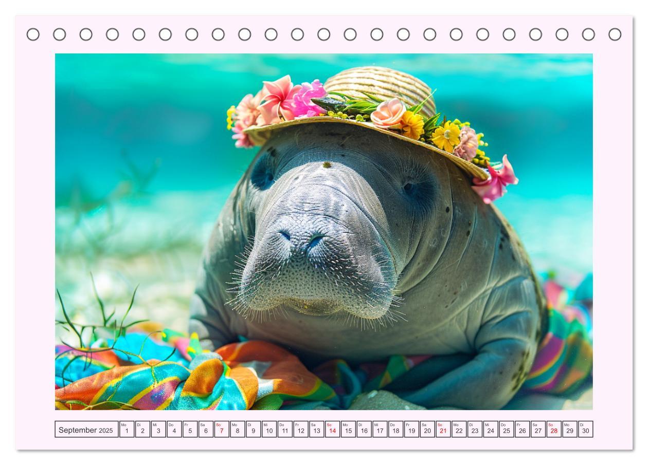 Bild: 9783435470099 | Modische Manatees. Charmante Seekühe mit Stil (Tischkalender 2025...