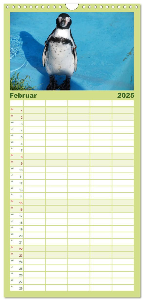 Bild: 9783457120293 | Familienplaner 2025 - Pinguine 2025 mit 5 Spalten (Wandkalender, 21...